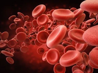 Ganzheitliche Diagnostik